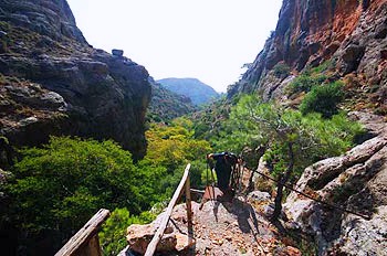 Pefki gorge – Kamara Apartments, Makry Gialos, Crete